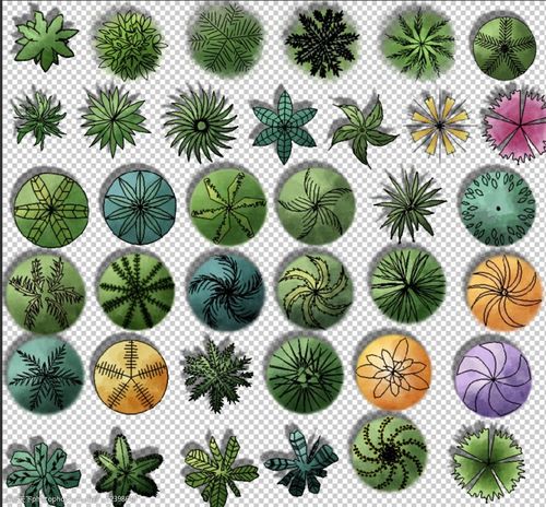 ps植物平面图例2图片