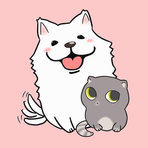 最喜欢的萨摩耶犬,萌萌哒北京 |             