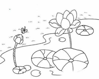 儿童画荷花池塘图片简笔画