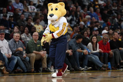 nba吉祥物图鉴掘金队洛奇狮