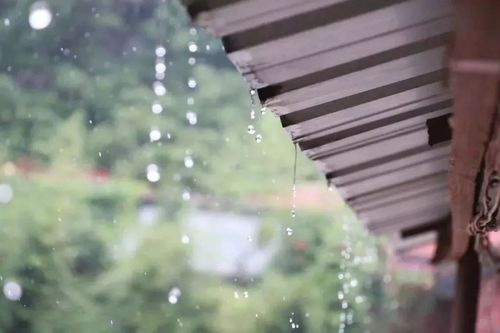 鹤冲天·梅雨霁 周邦彦 梅雨霁,暑风和,高柳乱蝉多.