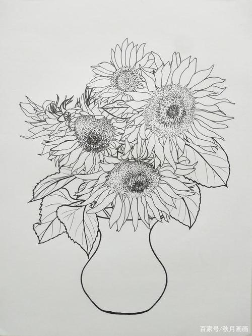 彩铅线描花卉:向阳而生的向日葵