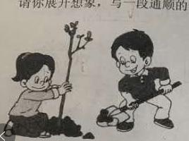 一二年级常考看图写话33篇(附范文)