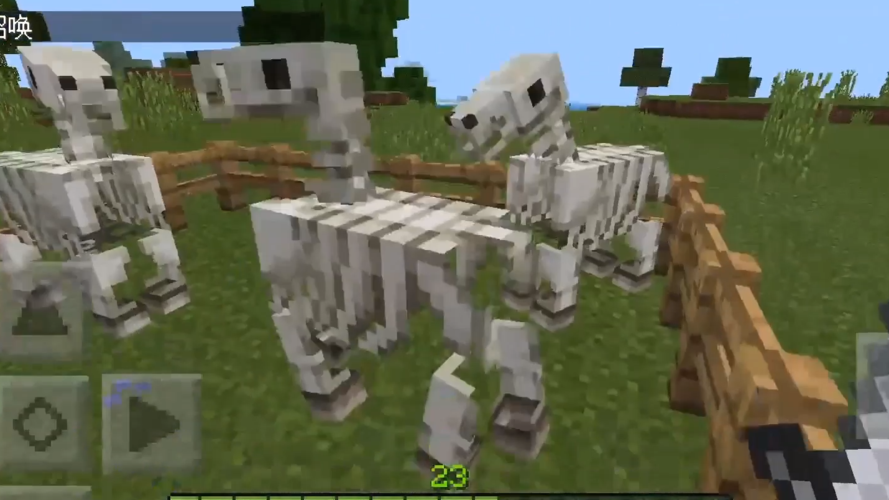我的世界骷髅马获得