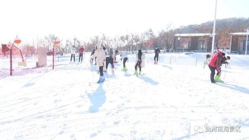 0537-4662777地址:曲阜市石门山镇国际康旅慢城蜗牛谷滑雪场公交:市区