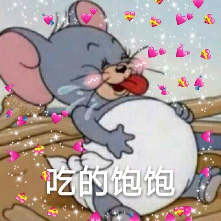 gavi猫和老鼠表情包 - gavi猫和老鼠微信表情包 - gavi猫和老鼠qq表情