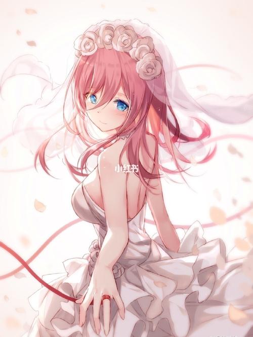 二次元_婚纱照_婚嫁_婚礼记录