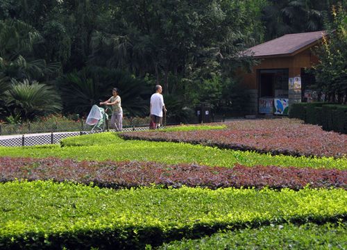 成都新华公园门票多少钱_2018【四川成都】成都新华