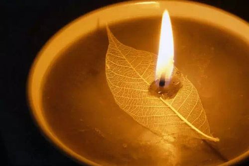 父亲百日祭----谨以此文祭奠我的父亲