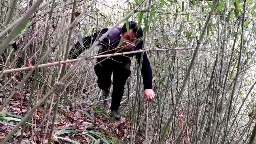 陈益峰:到头几节秀美,邓氏开始五辈人科甲绵绵 - 美篇