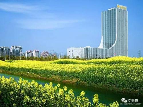 这么色的扬中你见过吗