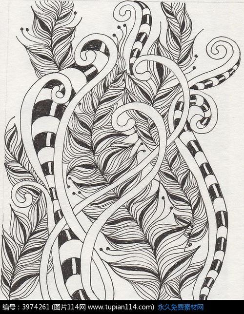 曲线排线手绘插画设计