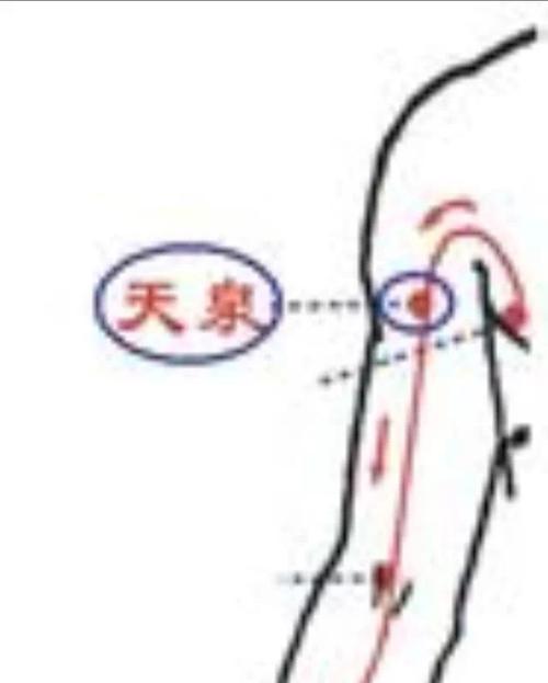 2.天泉穴