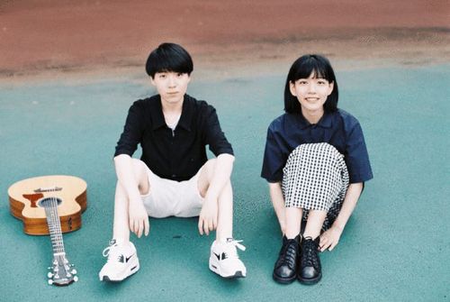 你也喜欢「房东的猫」吗?