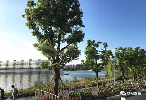 泉水湾湿地公园  颍河景观带  向阳路颍河大桥  城南双清湾  颍州