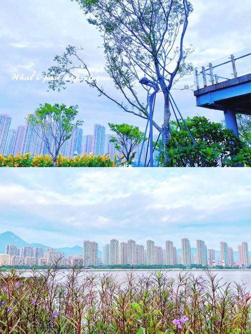 三江口生态公园于国庆开放,目前开放的是魁浦大桥至三江口大桥段,长约