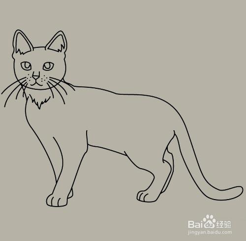 手工/爱好 > 书画/音乐  1 首先我们在卡纸上为小猫画上眼睛和鼻子