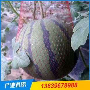西瓜网兜图片