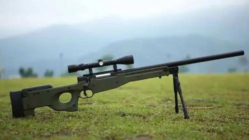 假如你是狙击手你会选以下哪款枪作为武器小学生才选最后一把