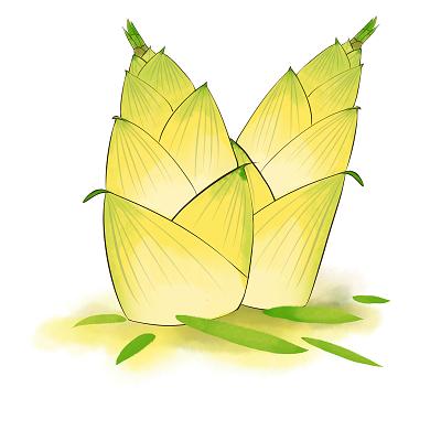 春分春天春水彩手绘春天春笋素材