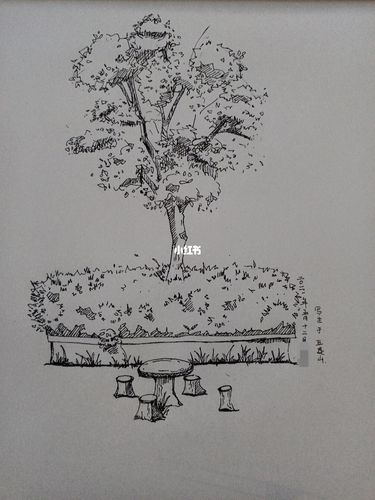 风景速写/树草_速写_风景_写生_文化_绘画