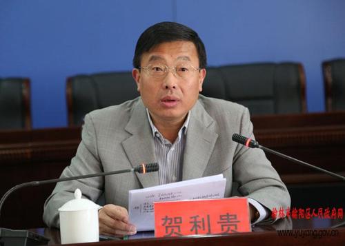 王新刚的工作简历