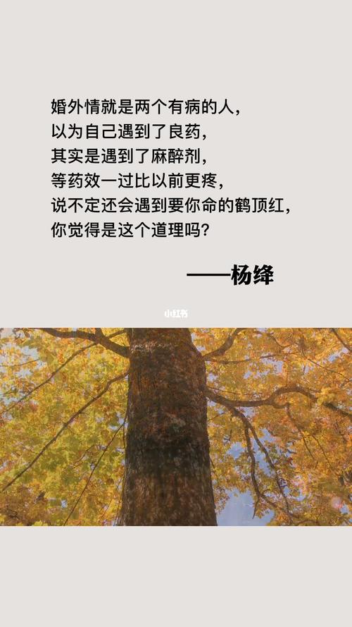 杨绛爱情语录_语录_婚外情_情感_素材_文字素材