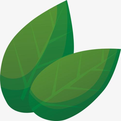 纹理叶子卡通插画免抠素材免费下载_觅元素51yuansu.com
