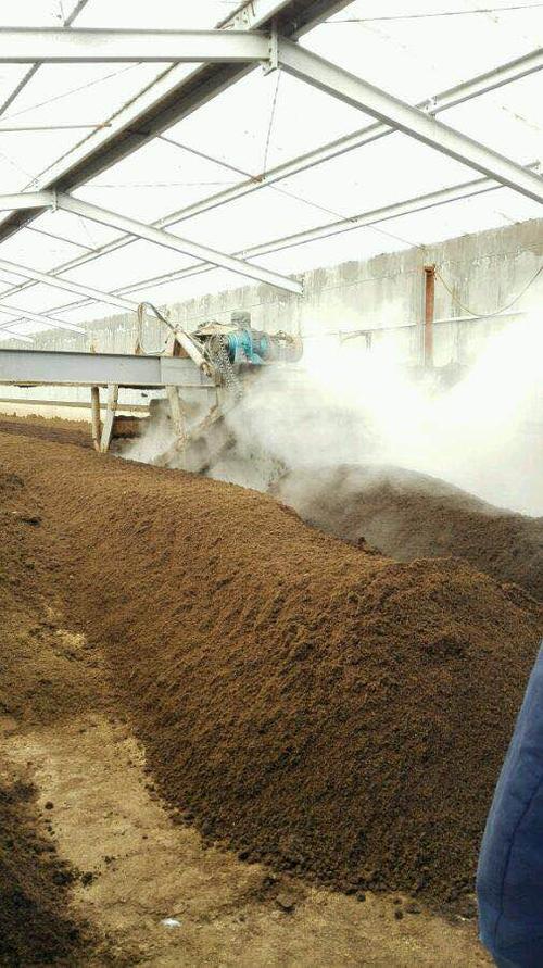 发酵鸡粪哪里买 山东安徽大量出售发酵鸡粪