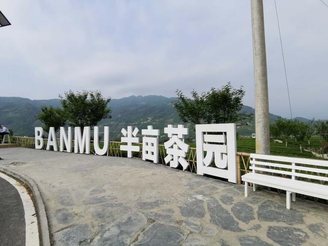 安康半亩茶园