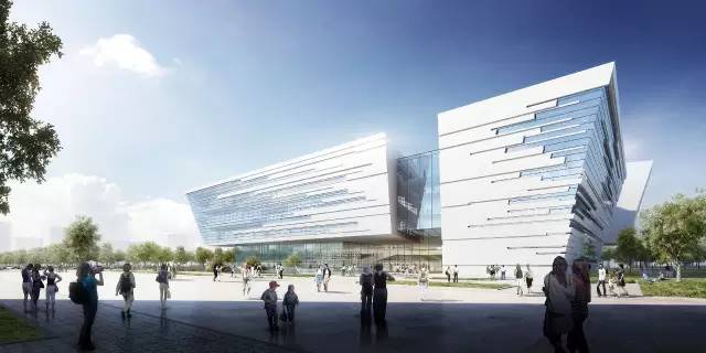 图书馆新馆选址