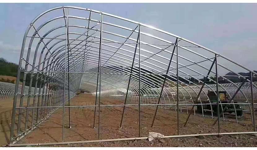 养殖大棚怎么建一亩地造价多少