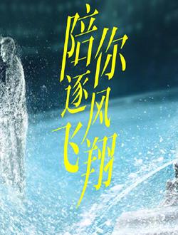 陪你逐风飞翔