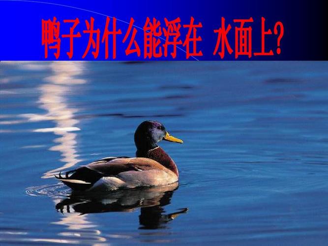 1浮力 课件(共36张)ppt