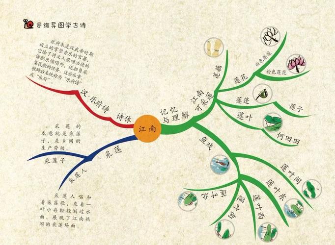 就拿采莲诗《江南》为例吧,经过思维导图的解读分析,把古诗划分为