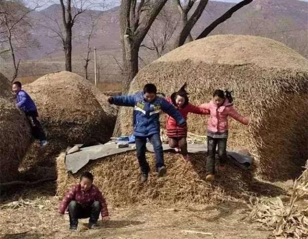 一堆堆的麦秸垛,勾起多少70后童年的美好回忆!