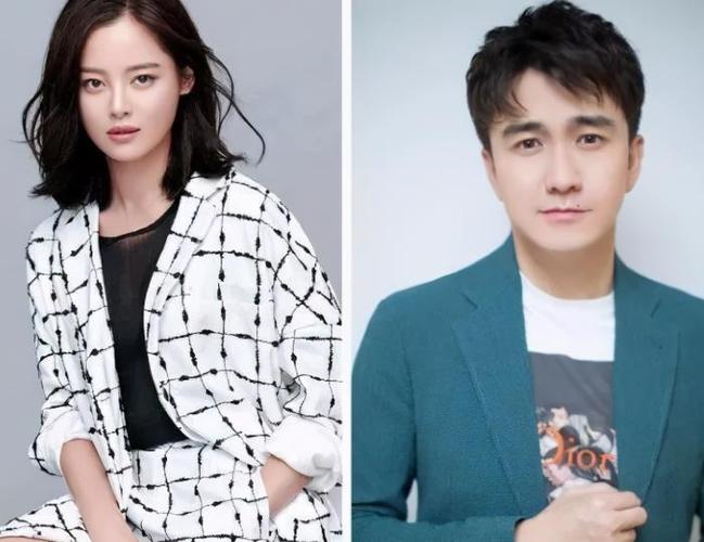 辛芷蕾老公(翟天临与辛芷蕾不婚同居)