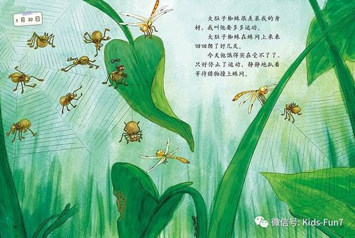 让孩子与可爱的蜻蜓一起成长,了解动物世界的小小秘密.