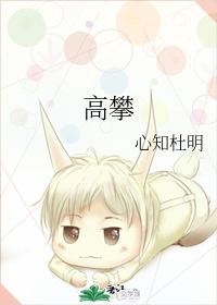 《高攀》心知杜明_【原创小说|言情小说】_晋江文学城
