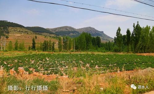 纪实随拍初识山东泗水金庄镇马头山村