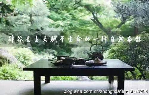 [转载]三海神传辟谷养生营4月20日报到!