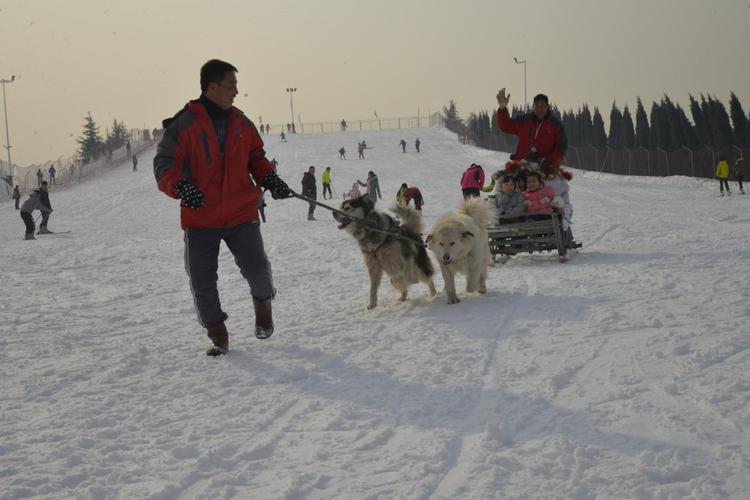 【西宁济南香草园滑雪场-周末 - 成人票【限周六,周日使用】团购详情