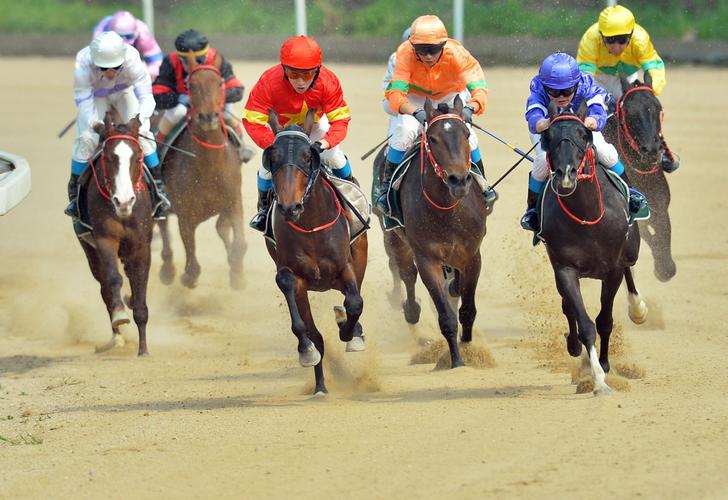 中国·武汉速度赛马公开赛现场.记者喻志勇 摄