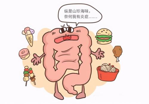 炎症性肠病与肠道菌群的关系你知多少