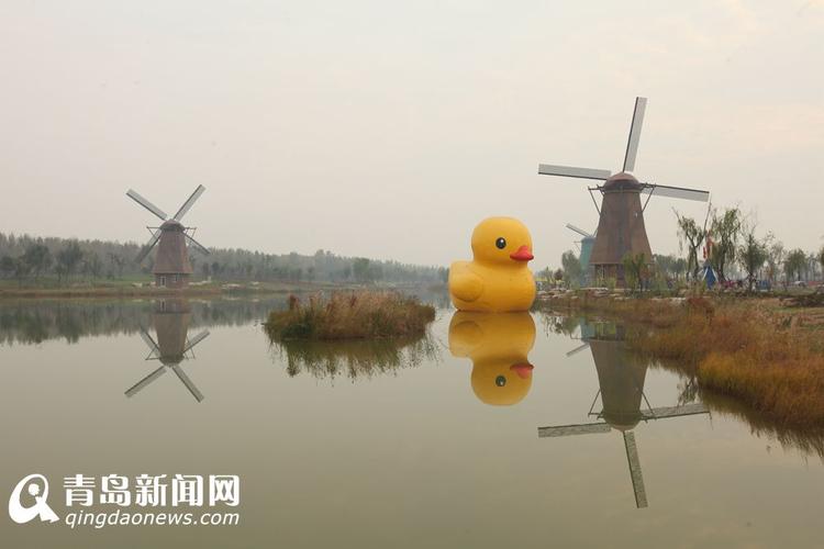 高清:秦皇河湿地公园 荷兰风车下大黄鸭游弋
