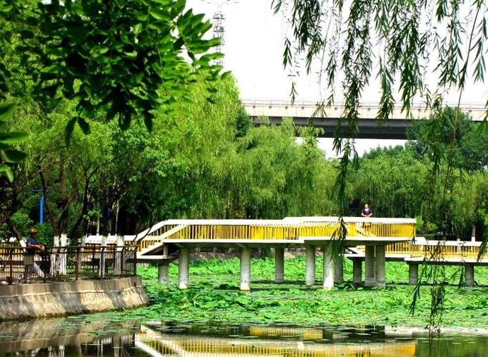 [转载]东丽公园一瞥