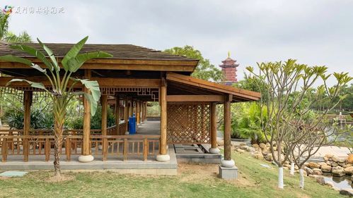 【厦门】园博苑最佳观鸟路线来了!快来和鸬鹚一起过冬天!