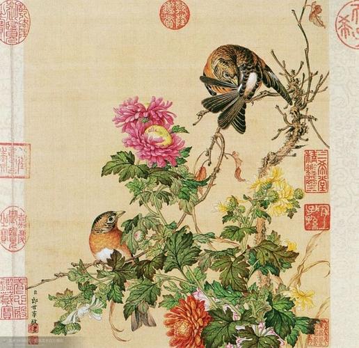 郎世宁#花鸟图册(10页)#5