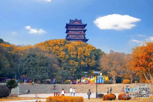 鄱阳县饶州街道:打造"五型"街道 建设"五美"饶州