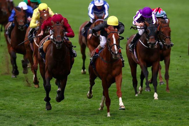 2017英国皇家赛马会第四日 纯血赛马大战燃爆现场